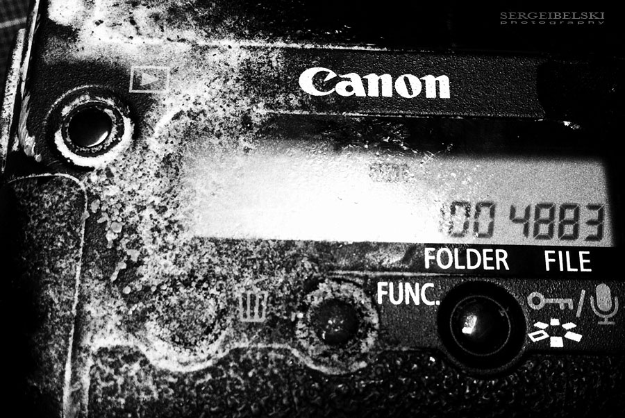 calgary sports photographer hockey photo