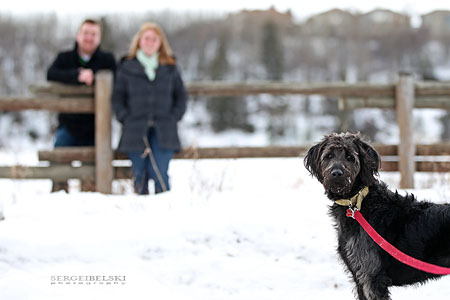 calgary wedding photographer engagement photographs