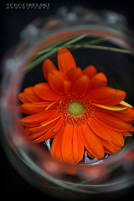 calgary event photographer sait awards photo