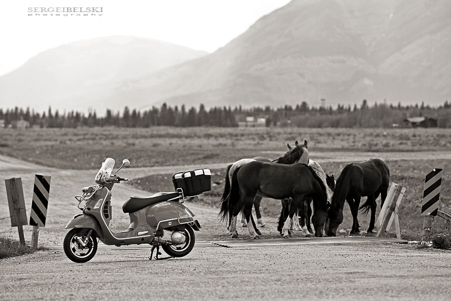 sergei belski photographer vespa adventures photo