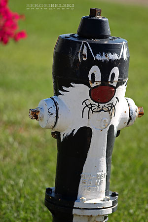 AirdrieLIFE magazine photo