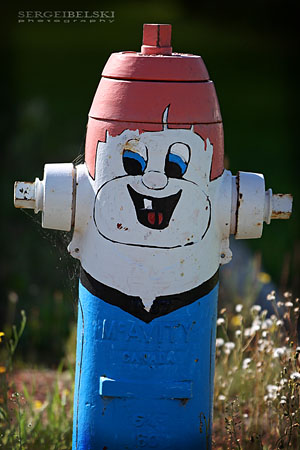 AirdrieLIFE magazine photo