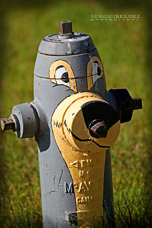 AirdrieLIFE magazine photo