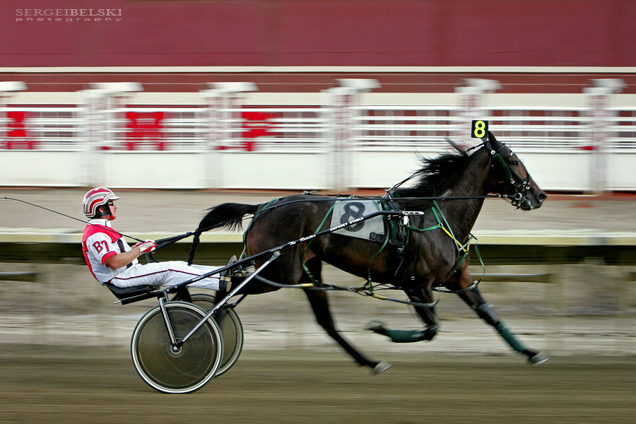 sports sergei belski photo