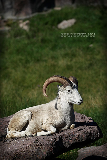 adventure travel photographer sergei belski vespa adventures photo