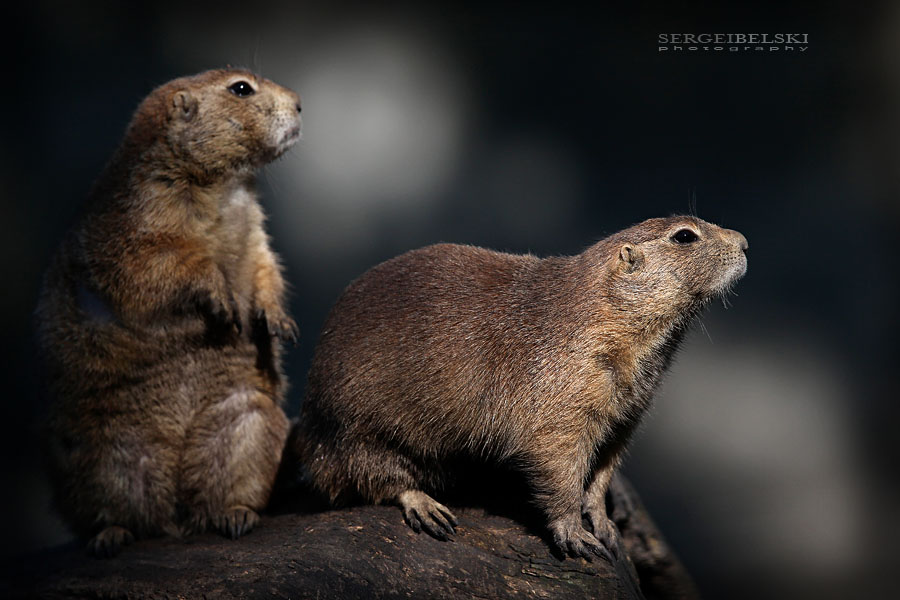 adventure travel photographer sergei belski vespa adventures photo