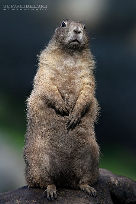 adventure travel photographer sergei belski vespa adventures photo