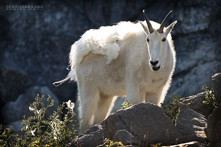 adventure travel photographer sergei belski vespa adventures photo
