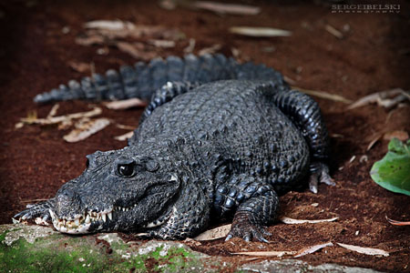 adventure travel photographer sergei belski vespa adventures photo