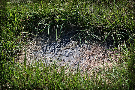 sergei belski volunteer work cemetery photo