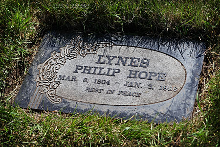 sergei belski volunteer work cemetery photo