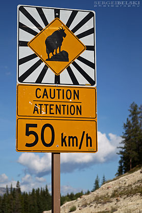 sergei belski vespa adventures photo