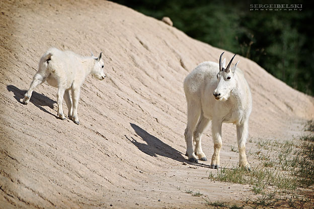 sergei belski vespa adventures photo