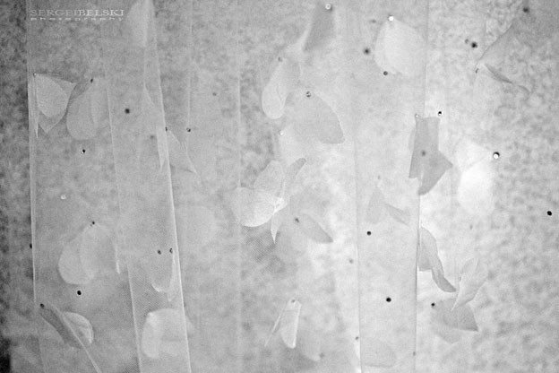 wedding sergei belski photo