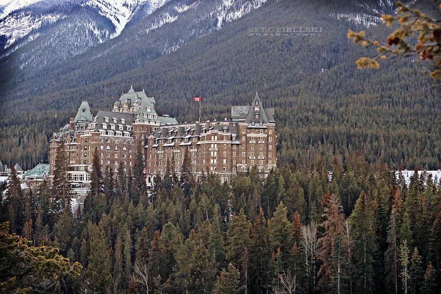 christmas party sergei belski photo