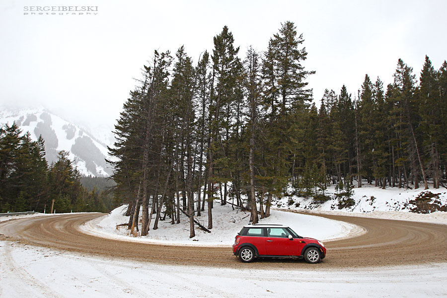 canmore family christmas sergei belski photo