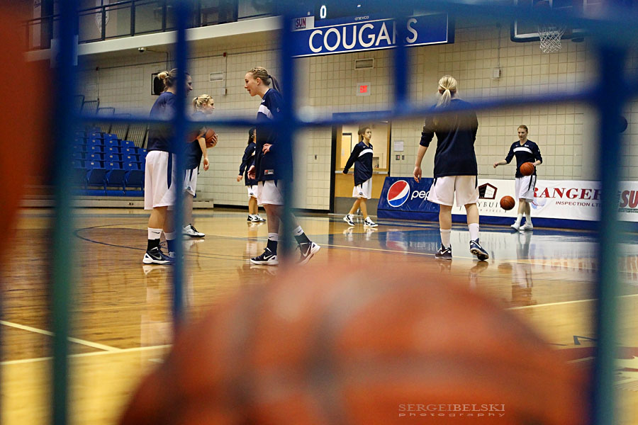 mount royal university basketball sergei belski photo