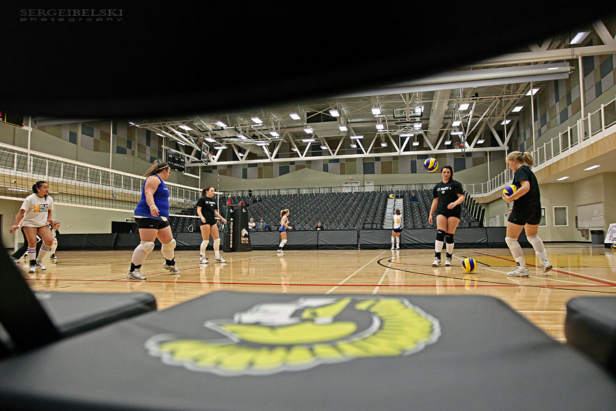 stmu volleyball sergei belski photo