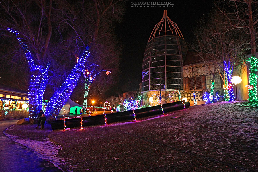 calgary zoo zoolights sergei belski photo