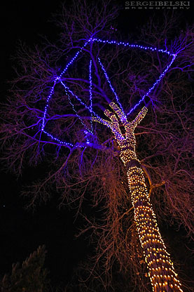 calgary zoo zoolights sergei belski photo