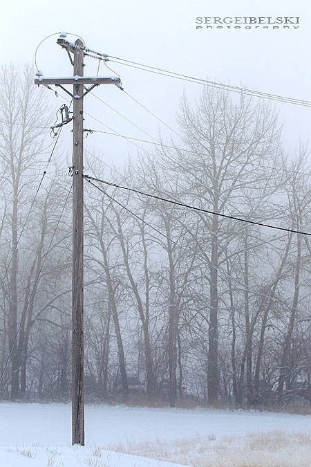 sergei belski fortis alberta photo