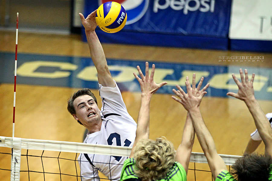 mount royal university volleyball sergei belski photo
