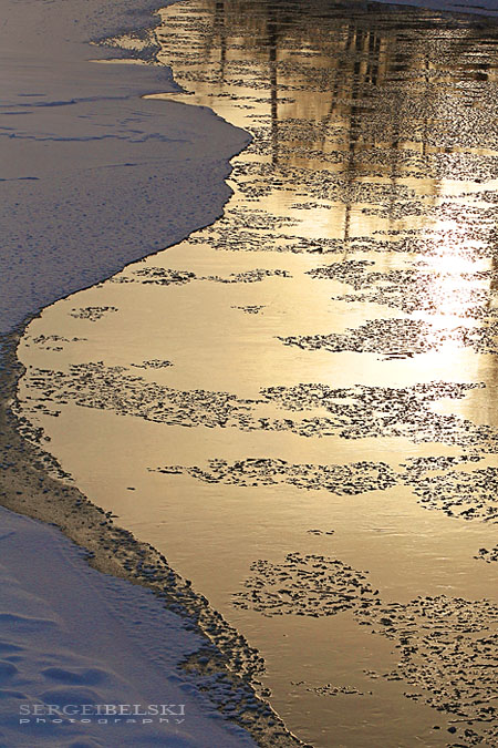 calgary zoo sergei belski photo