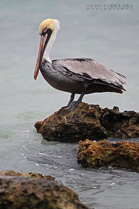 mexico vacation photo