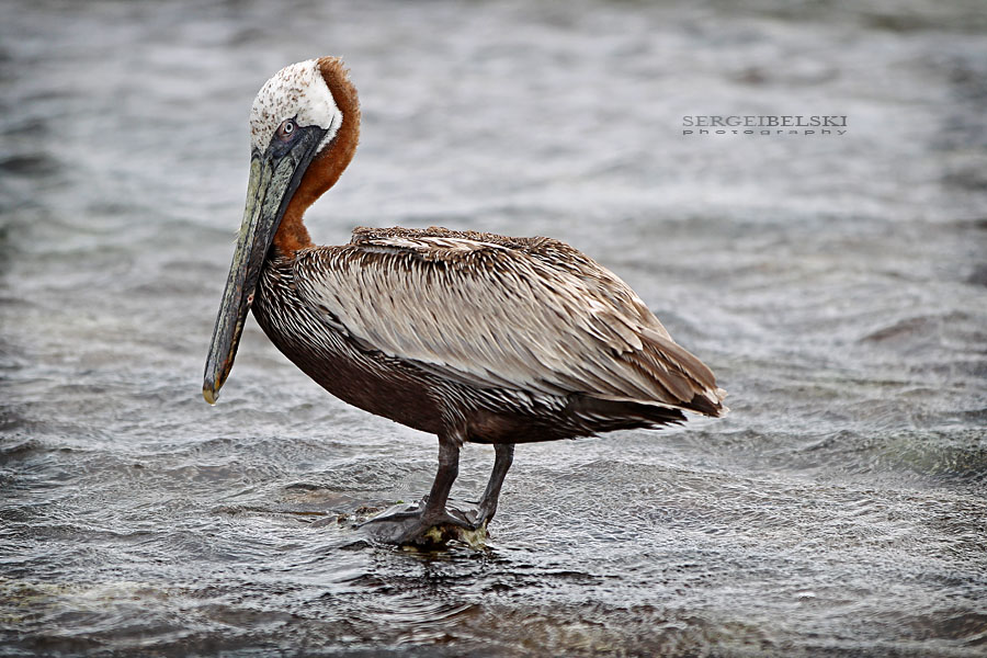 mexico vacation photo