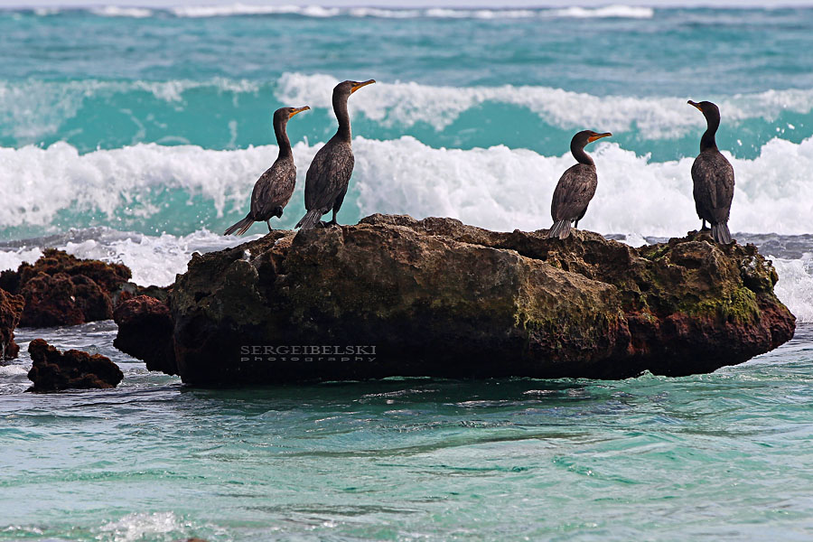 mexico vacation photo