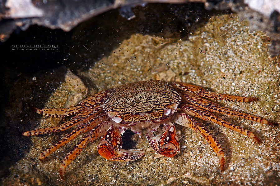 mexico vacation photo