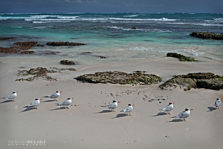 mexico vacation photo