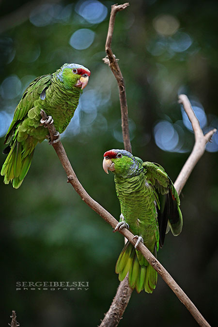 mexico vacation photo