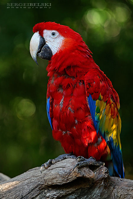 mexico vacation photo