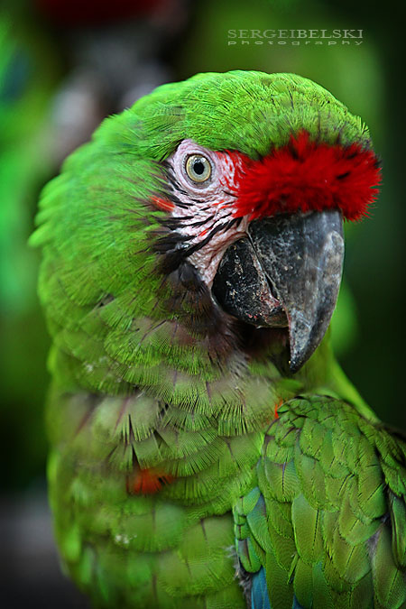 mexico vacation photo