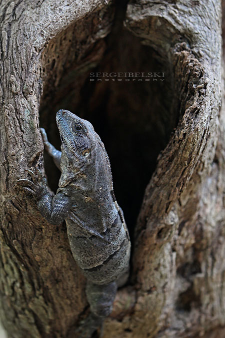 mexico vacation photo