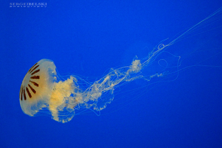 mexico vacation photo