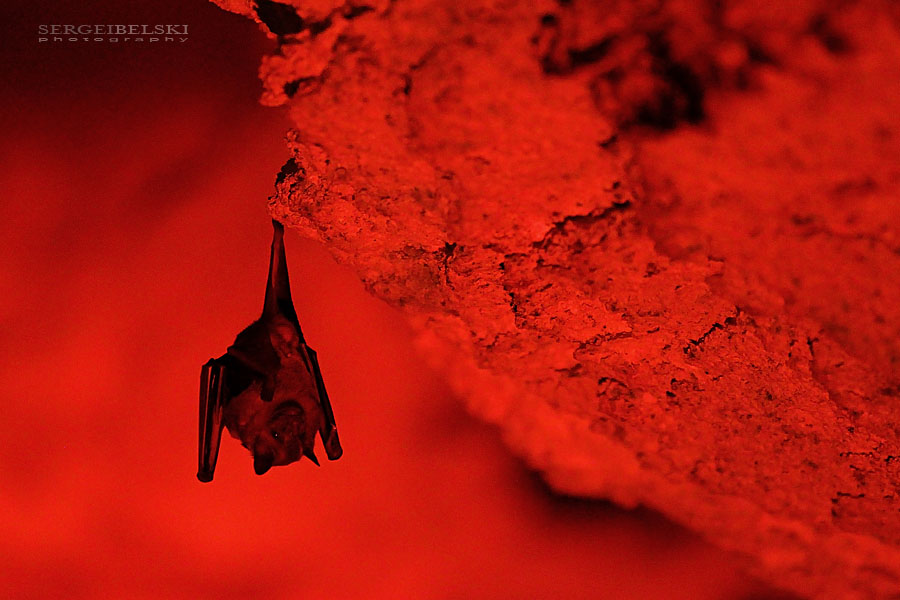 mexico vacation photo