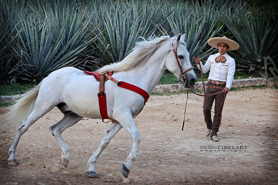 mexico vacation photo