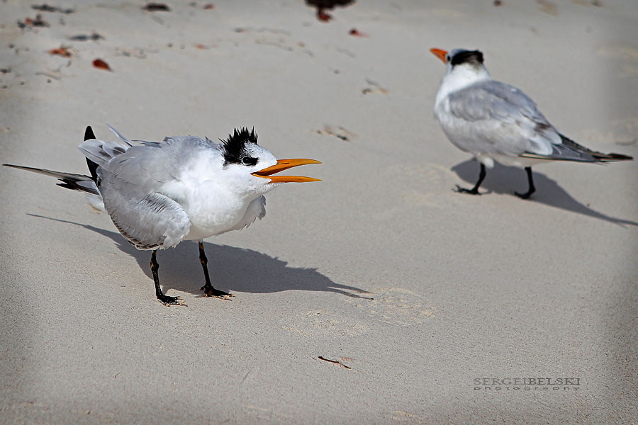 mexico vacation photo