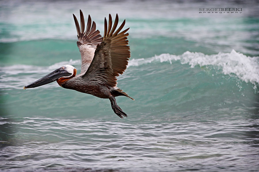 mexico vacation photo