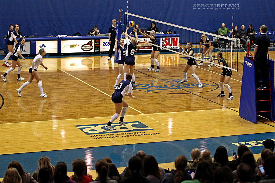 mount royal university volleyball sergei belski photo