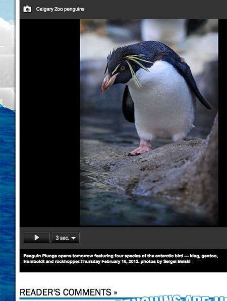 calgary zoo sergei belski photo