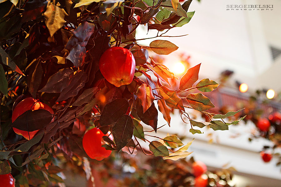 calgary event photographer sait sergei belski photo