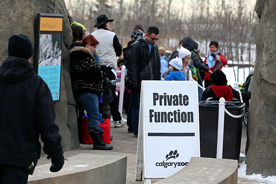 calgary zoo event sergei belski photo
