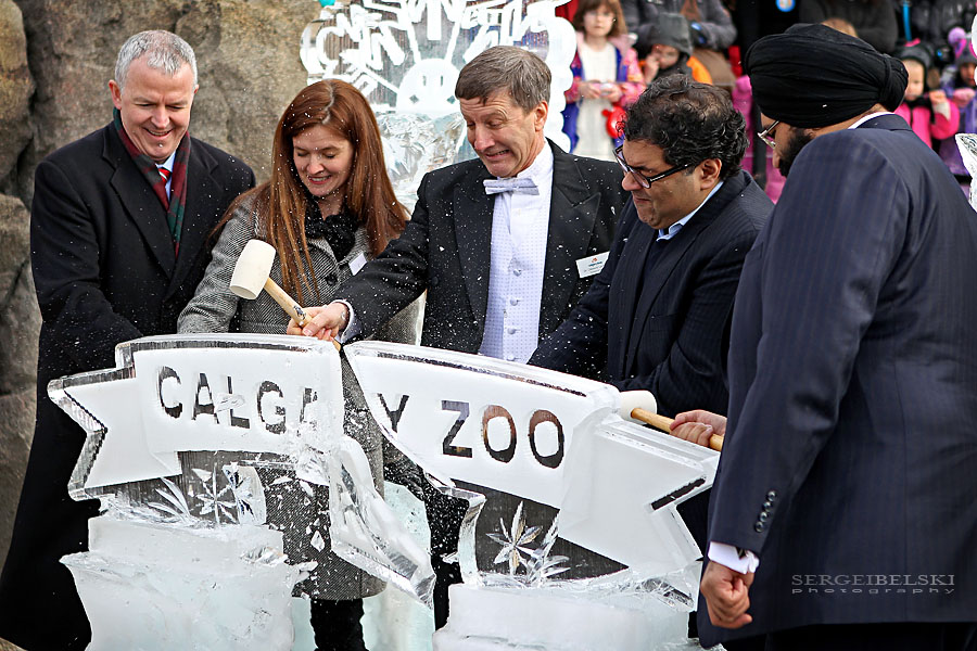 calgary zoo event sergei belski photo