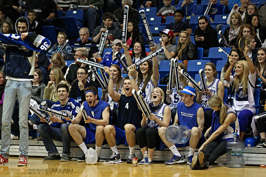mount royal university basketball sergei belski photo