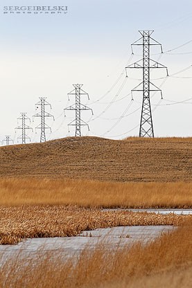 vespa adventures sergei belski photo