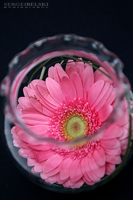 calgary event photographer sait sergei belski photo