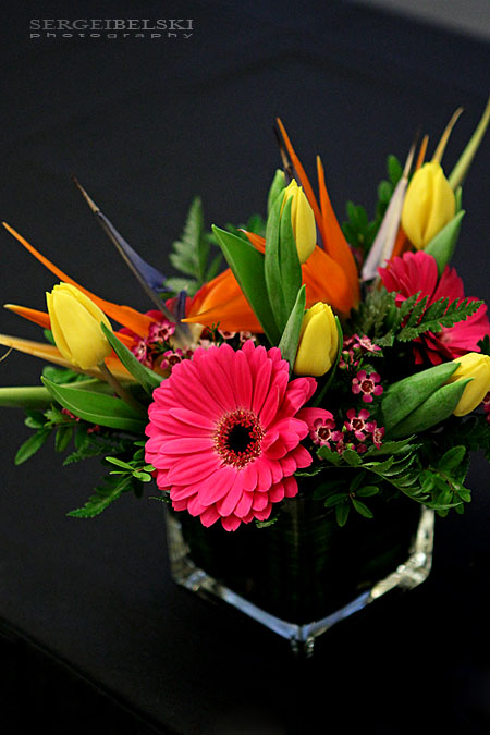 calgary event photographer sait sergei belski photo